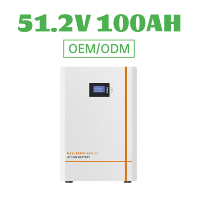 Wall Mounted Battery Pack 51.2V 100AH