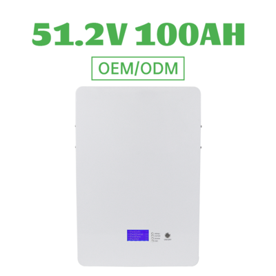 Wall Mounted  Battery Pack 51.2V 100AH